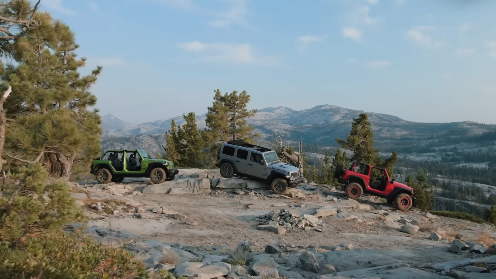 Three Jeeps in woods