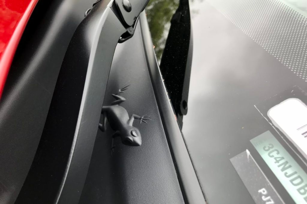 There is a sneaky lizard underneath these windshield wipers. Both Jeeps and lizards are excellent at traversing any terrain.