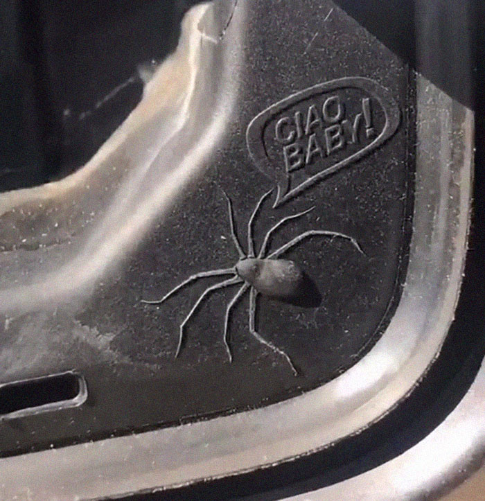 Upon closer inspection, the spider is saying “ciao baby!” the native language of the people who built the car.