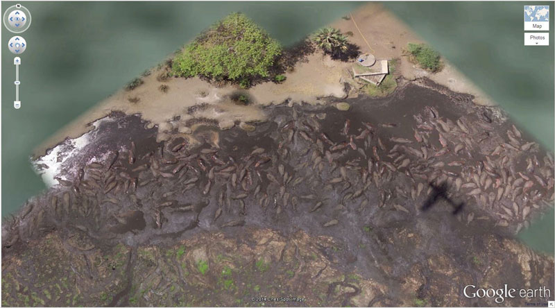 Hippo Pool 6°53’53.00″ S 31°11’15.40″ E Katavi National Park, Tanzania